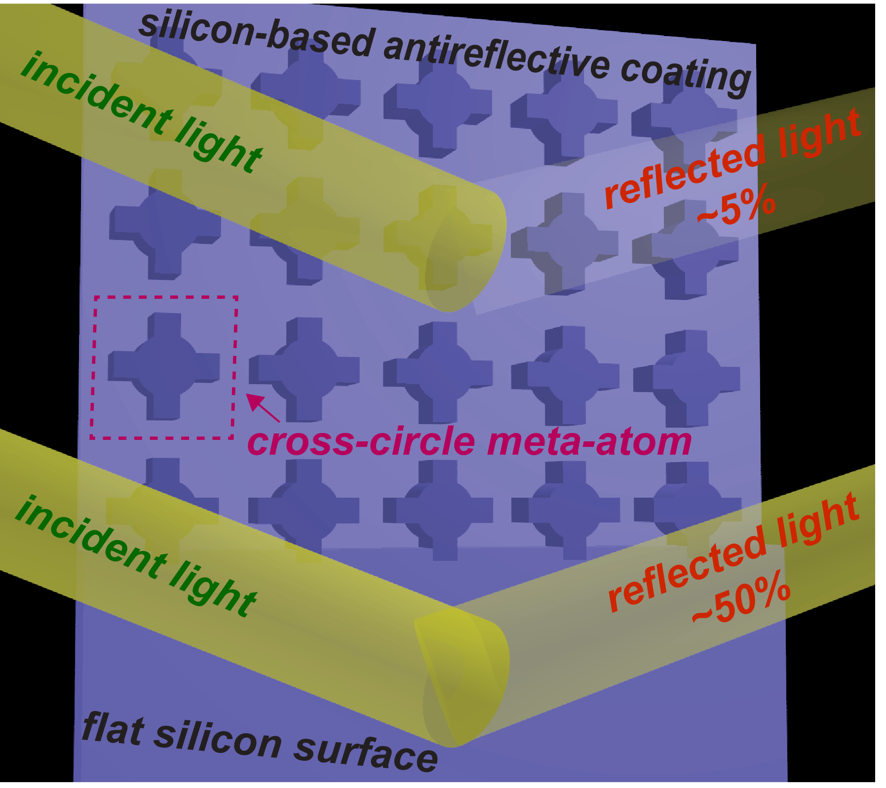 Optical Biosensing Workshop 2025
